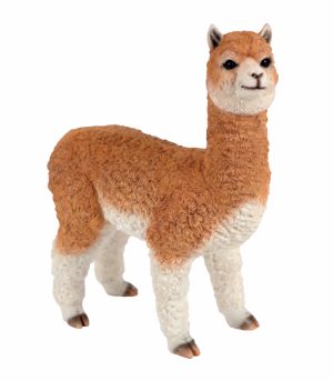Alpaca