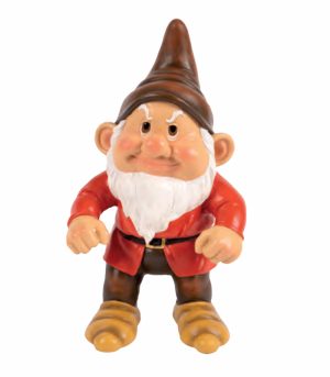 Assertive Gnome