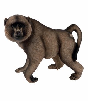 Baboon