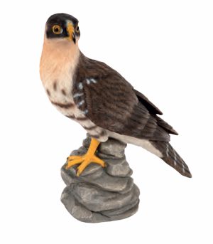 Falcon