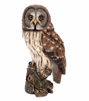 Great Grey Owl