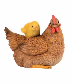 Hen & Chick