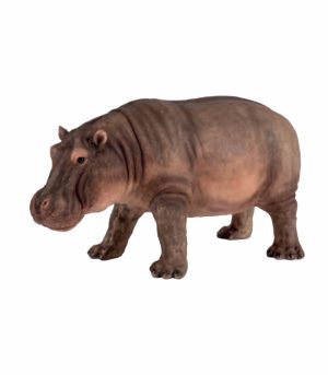 Hippo