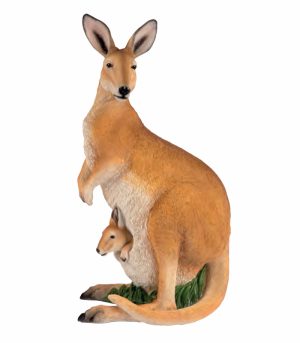 Kangaroo