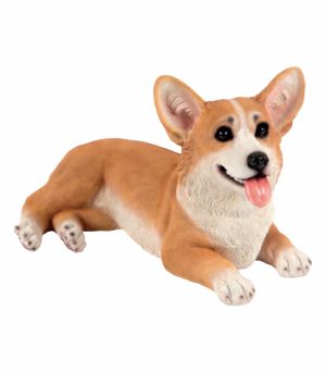 Lying Corgi