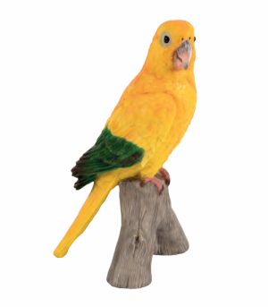Parrot