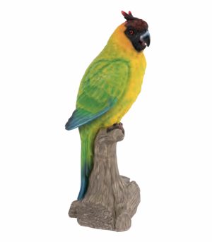 Parrot