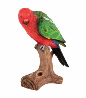 Parrot