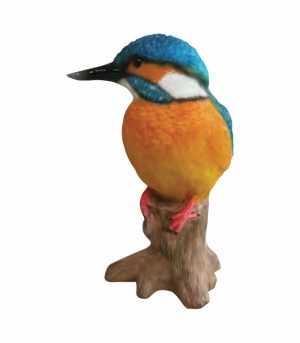 Perched Kingfisher