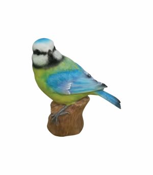 Perched Blue Tit