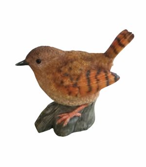 Perched Wren