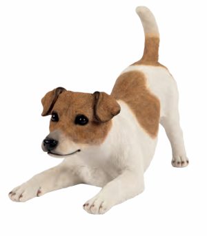 Playful Fox Terrier