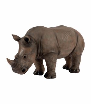 Rhino