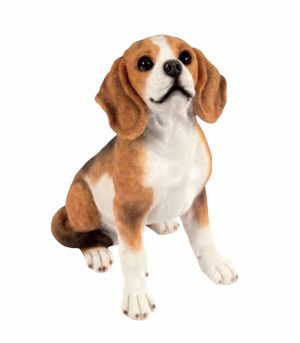 Sitting Beagle