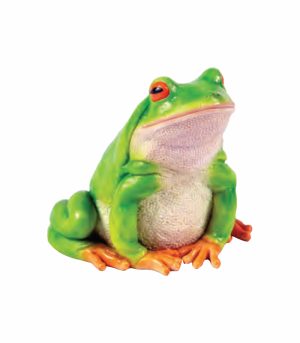 Sitting Frog