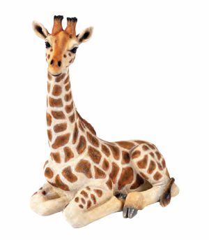 Sitting Giraffe