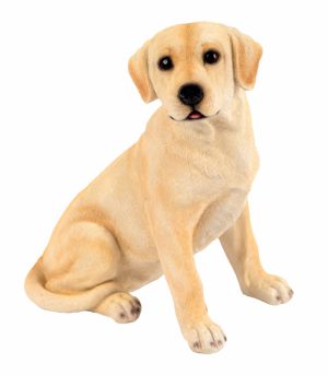 Sitting Golden Labrador
