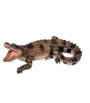 Snapping Crocodile
