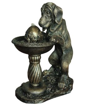Solar Dog at Fountain