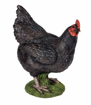Standing Black Hen