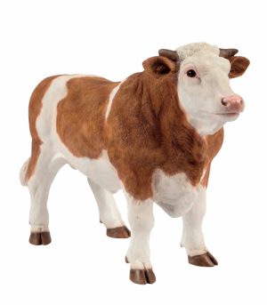 Standing Brown Bull