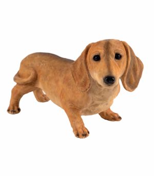 Standing Brown Dashshund