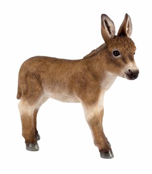 Standing Brown Donkey