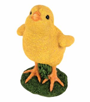 Standing Chick