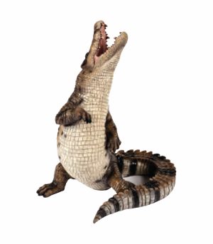 Standing Crocodile