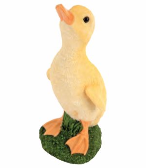Standing Duckling