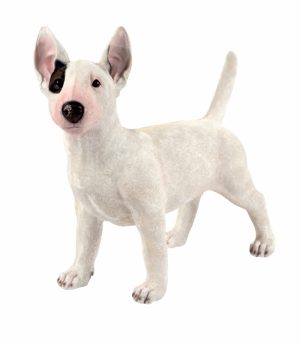Standing English Bull Terrier