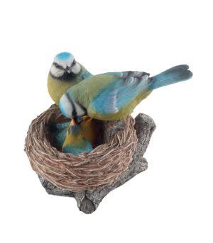 Blue Tits on Nest