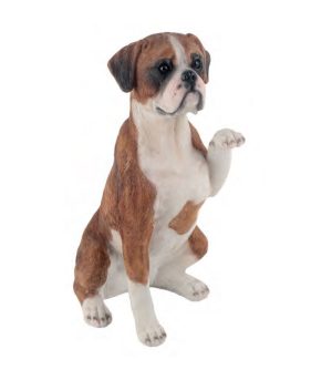 Boxer Dog Raising paw