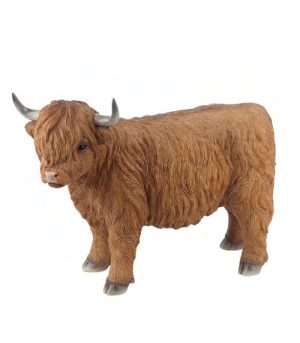 Standing Highland Cow
