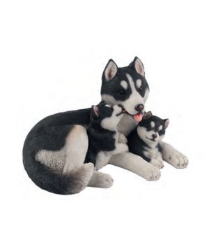 Husky Family