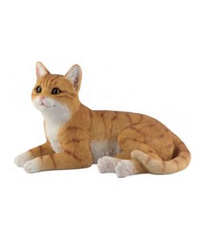 Laying Ginger Cat