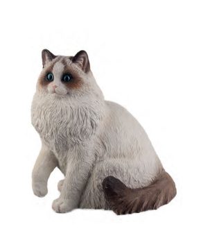 Sitting Persian Cat